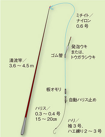 オイカワ 追河 釣りの仕掛け講座 淡水編 房総爆釣通信