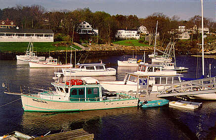 Deep  Fishing Maine on Deep Sea Fishing Maine