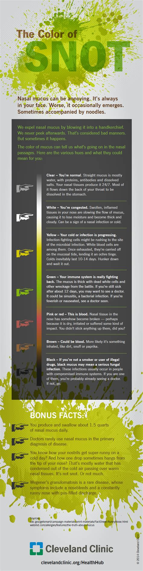Green snot can also indicate a sinus infection. infographic what the colour of your snot says about your health