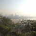 india, trees, pollution, climate, change, youth, unemployment, highways, government,