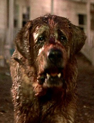 Cujo (Cujo) Biografia, Fotos, Historia, Actor, Actriz 