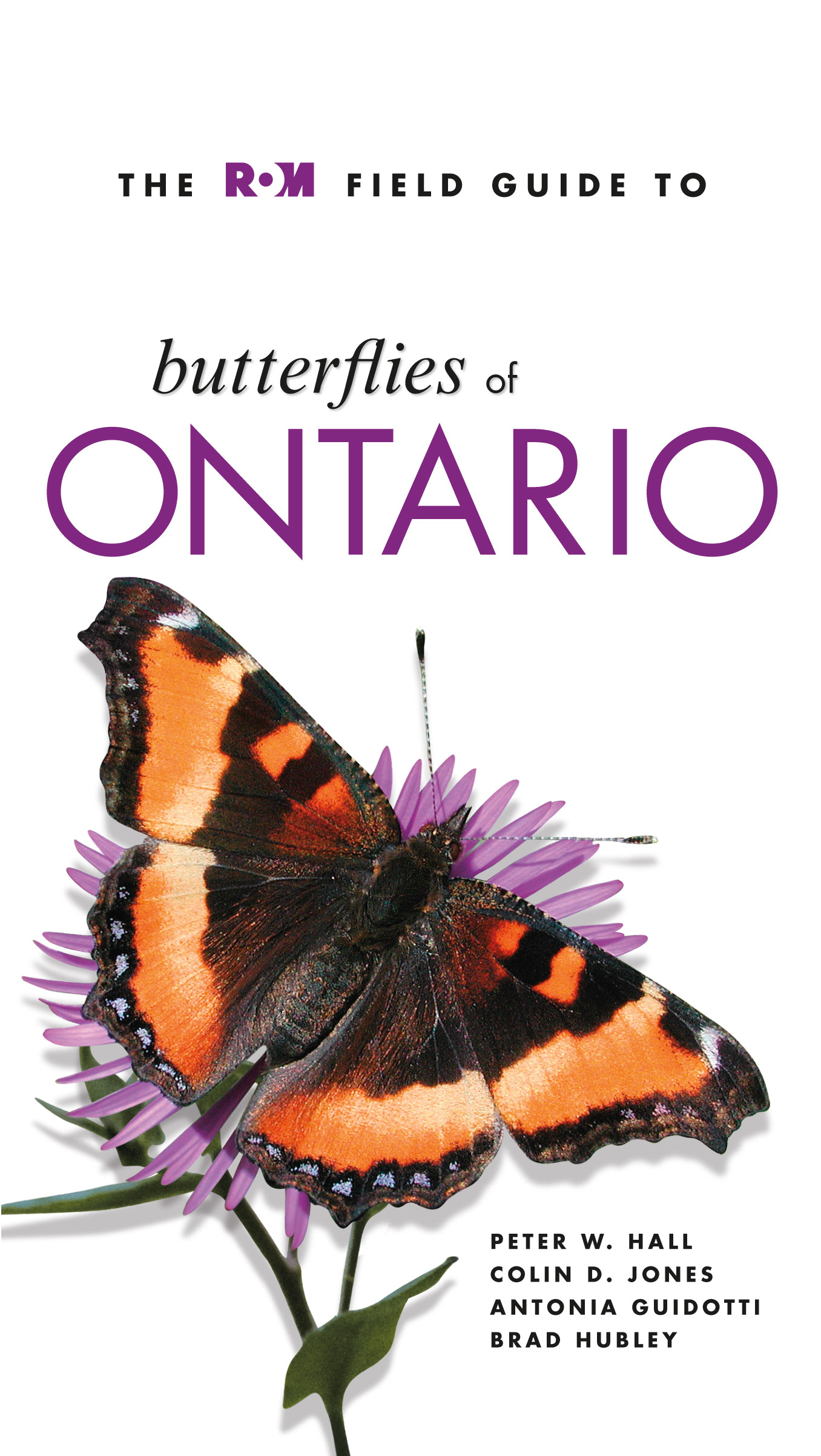 Rom Field Guide To Butterflies Of Ontario Royal Ontario