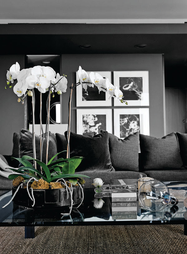Apartment by Cathy Echols