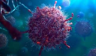 dengue risk  decrease  warmer climates study