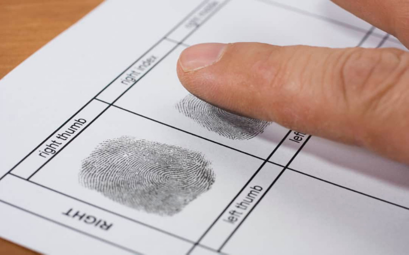 what show up on the background check