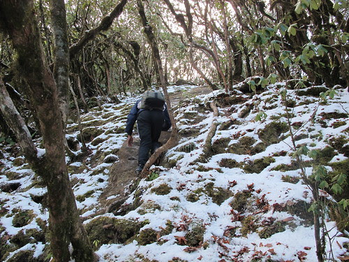 Climbing Mt Japfü
