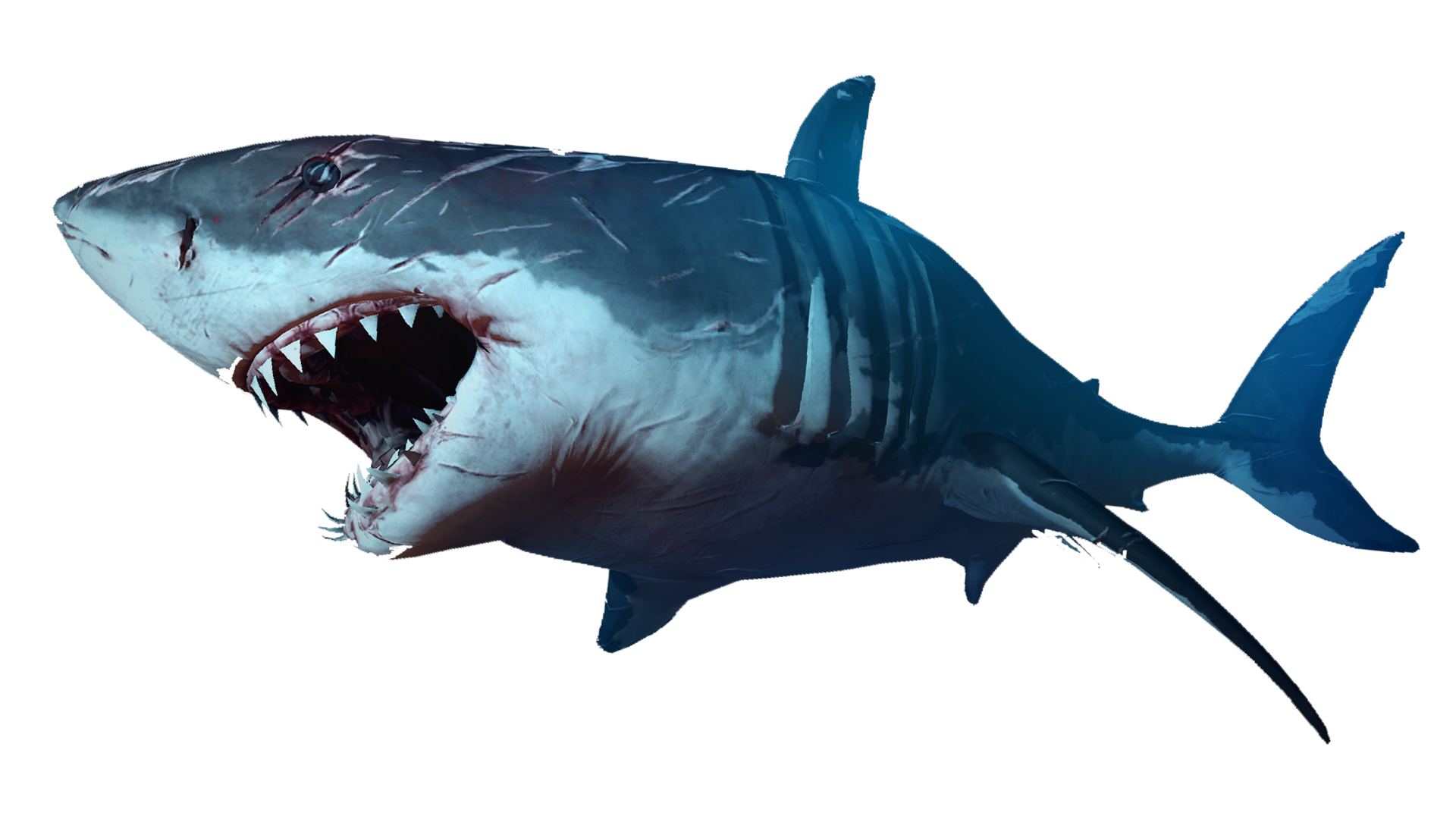 Shark Jaws Clip art - sharks png download - 1920*1080 ...