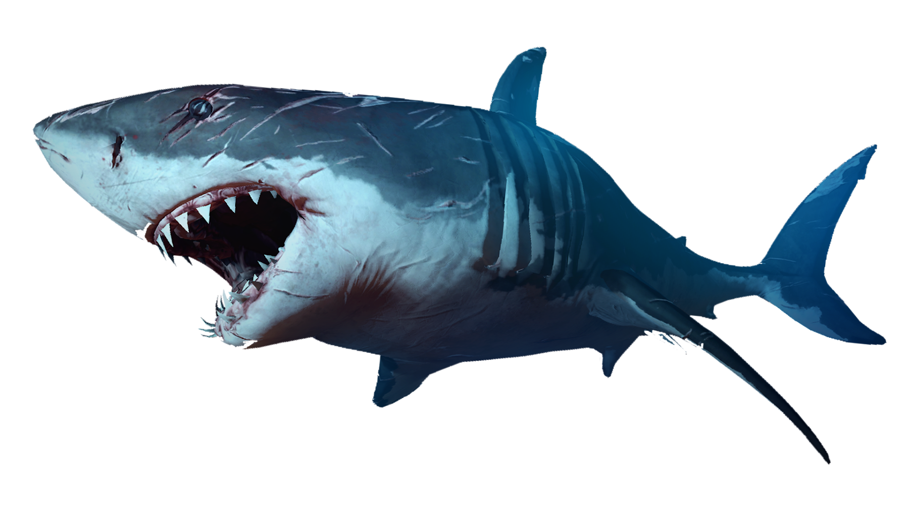 Download Free 120 Transparent Grandpa Shark Svg SVG PNG EPS DXF File for Cricut, Silhouette and Other Machine