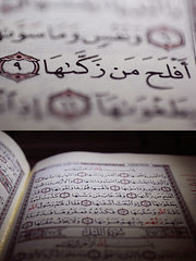 صورة