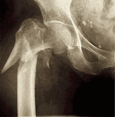 Principles of fx flashcards | Quizlet