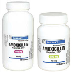 Amoxicillin Capsules - HeartlandVetSupply.com