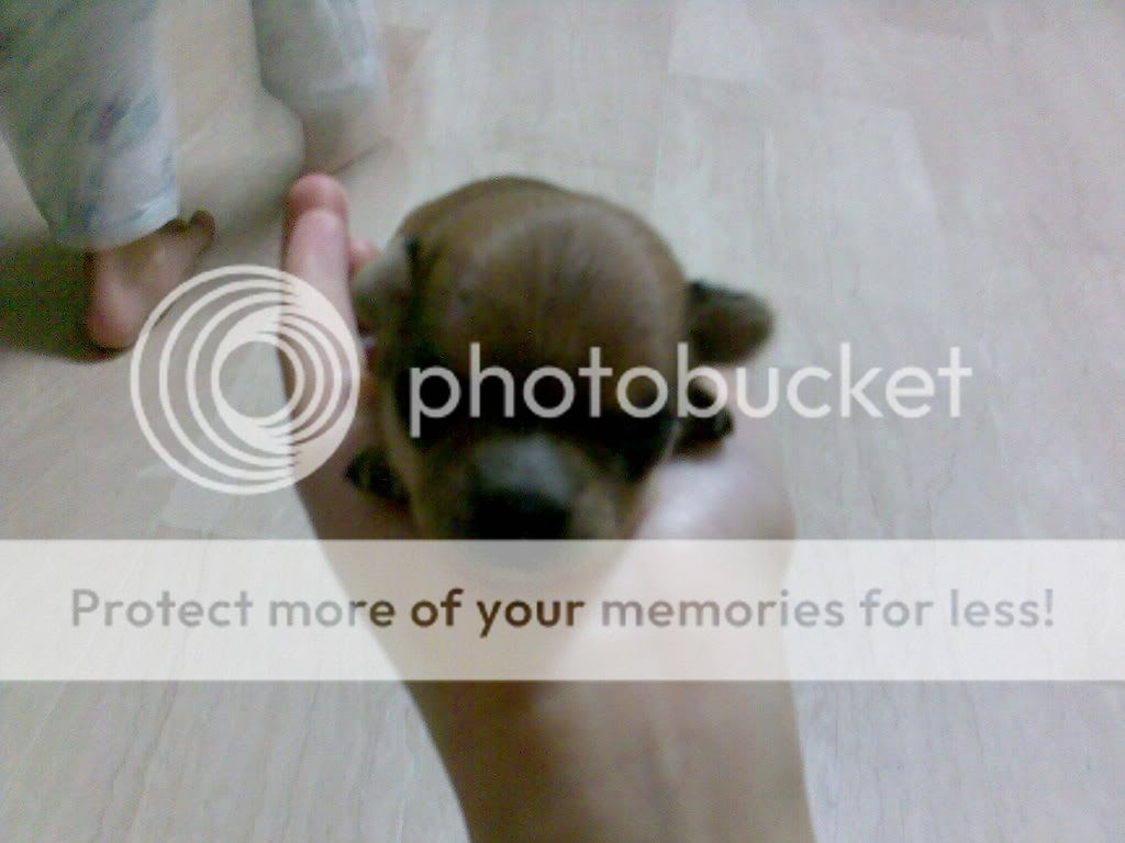 Mary Elizabeth Winstead Sex