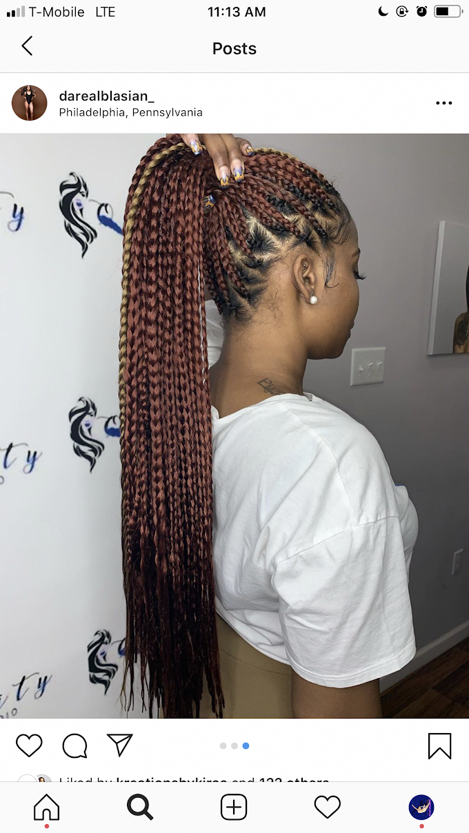 Pinterest Hairstyles Braids / Pinterest:@jalissalyons | African braids hairstyles, Hair ... / Dutch braids are among the most sophisticated long hairstyles.