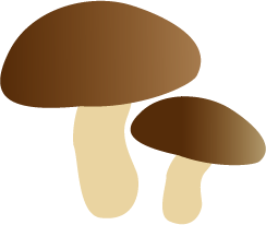 キノコのイラスト 秋のイラスト 無料イラスト フリー素材