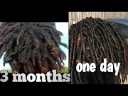 Trends Every thing that happened to my dreads withen the first 3 months, most update!