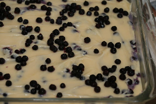 Food Librarian - Blueberry Mochi Cake