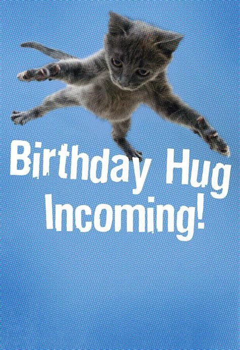 Flying Cat Hug Birthday Card   Greeting Cards   Hallmark
