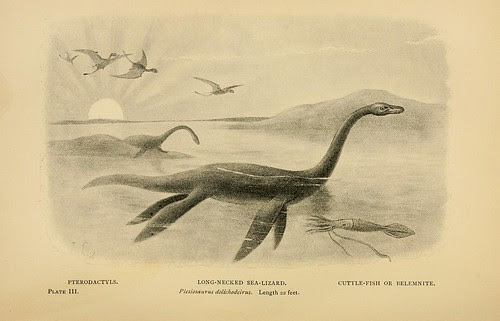 Long-necked Sea-Lizard
