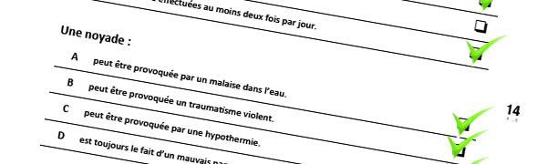 Qcm Test Reglementation Bnssa Sauveteur Ffss 44 Sna