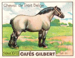 gilbert chevaux002