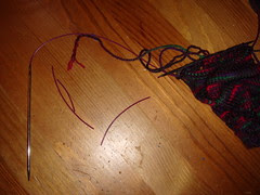 dogs and needles do not mix