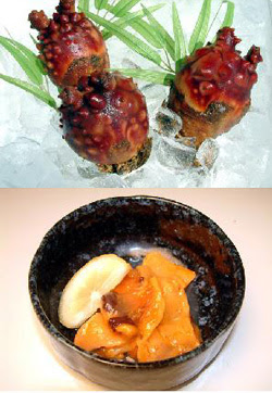 函館カネニ 活き活き便 商品ページ 北海道産 ほや貝