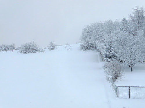 snow