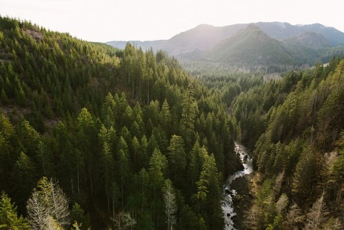 Dating in Richardson