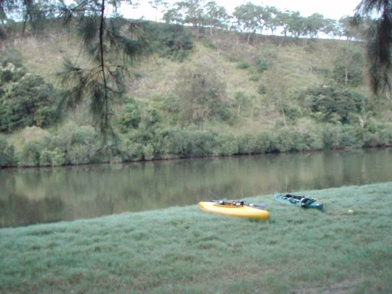 Upper Macleay bassin' - Kayak Fishing Down Under