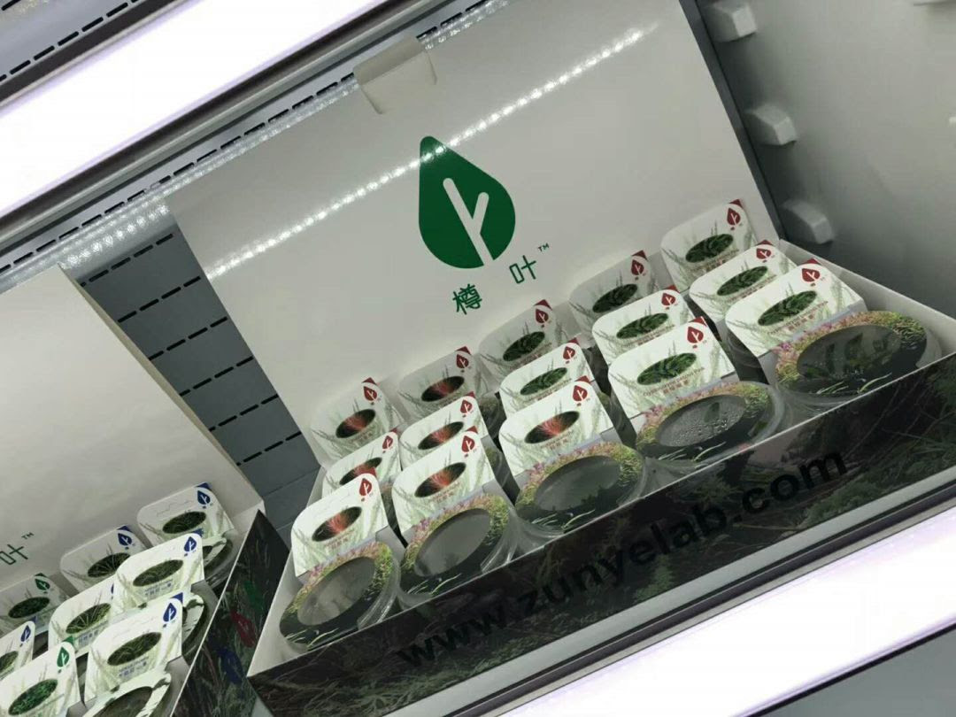 行业首发 水草造景也可以一键 复制 黏贴 看阿诺比春季发布会怎么说 中国国际宠物水族用品展cips