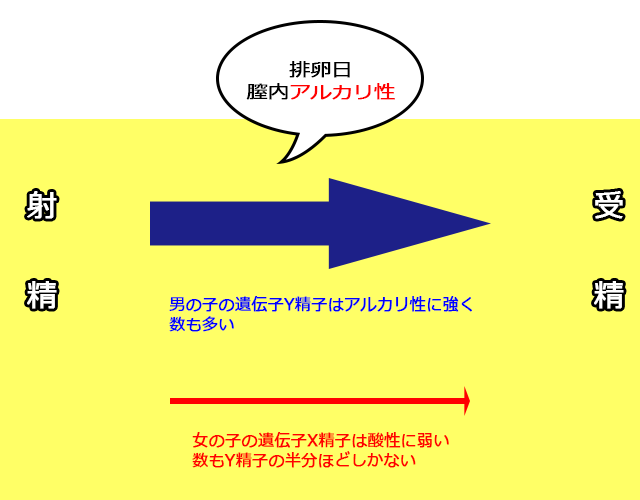女の子 男の子 どっちが欲しい 男女の産み分けの方法を調べてみました Shufulife