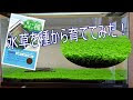 √1000以上 水草 を 育てる 319060-水草を育てるライト
