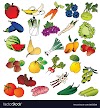 Fruits And Vegetables Drawing Pictures