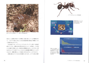 ヒアリ関連書籍