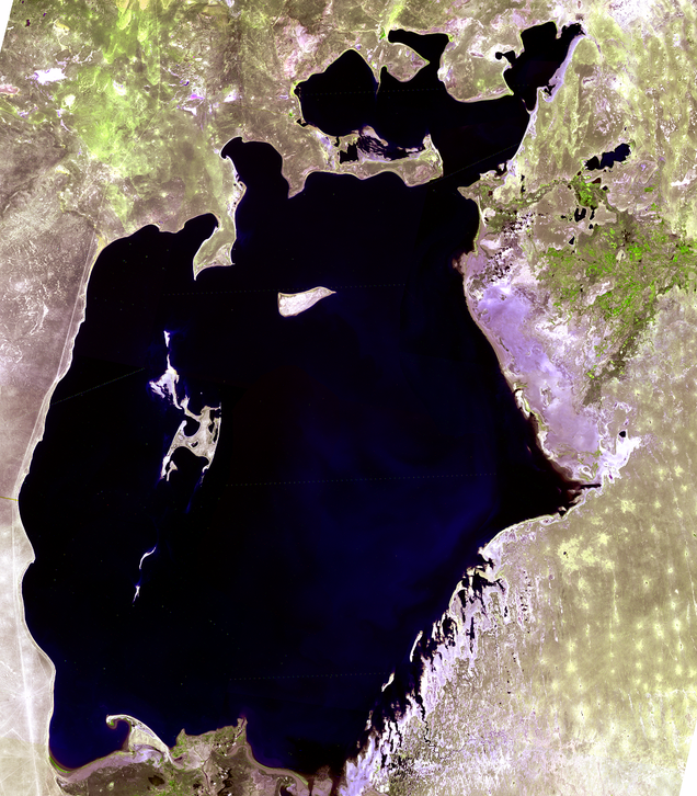 How the Soviet Union destroyed the fourth biggest lake in the world