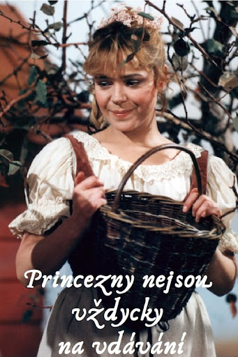 Obrázek