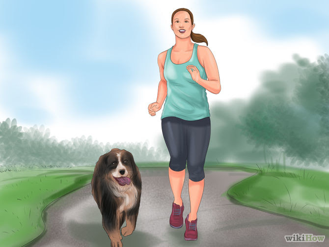 Make Your Dog Smell Better Step 15 Version 2.jpg