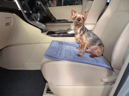 車の座席をワンコ専用に改造だよ どこでも晴れたらワン歩