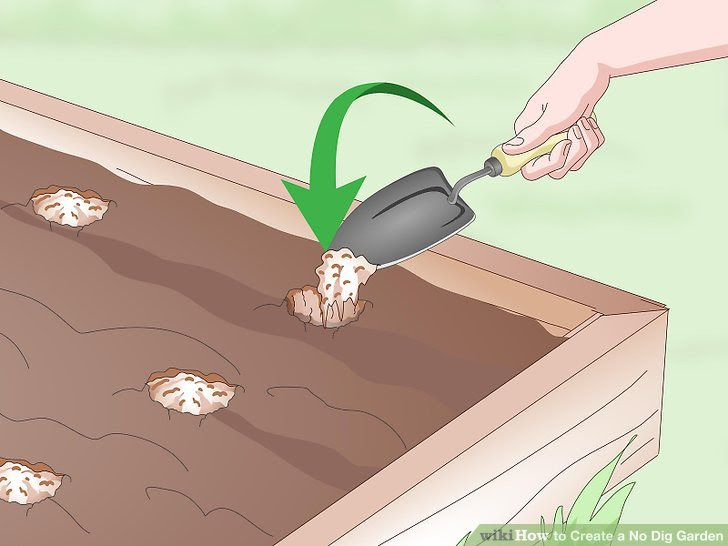 Create a No Dig Garden Step 15.jpg