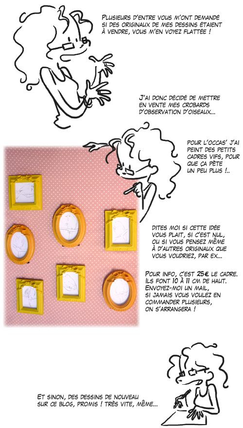 vente-oiseaux.jpg