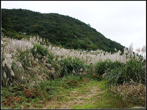 DSC08378