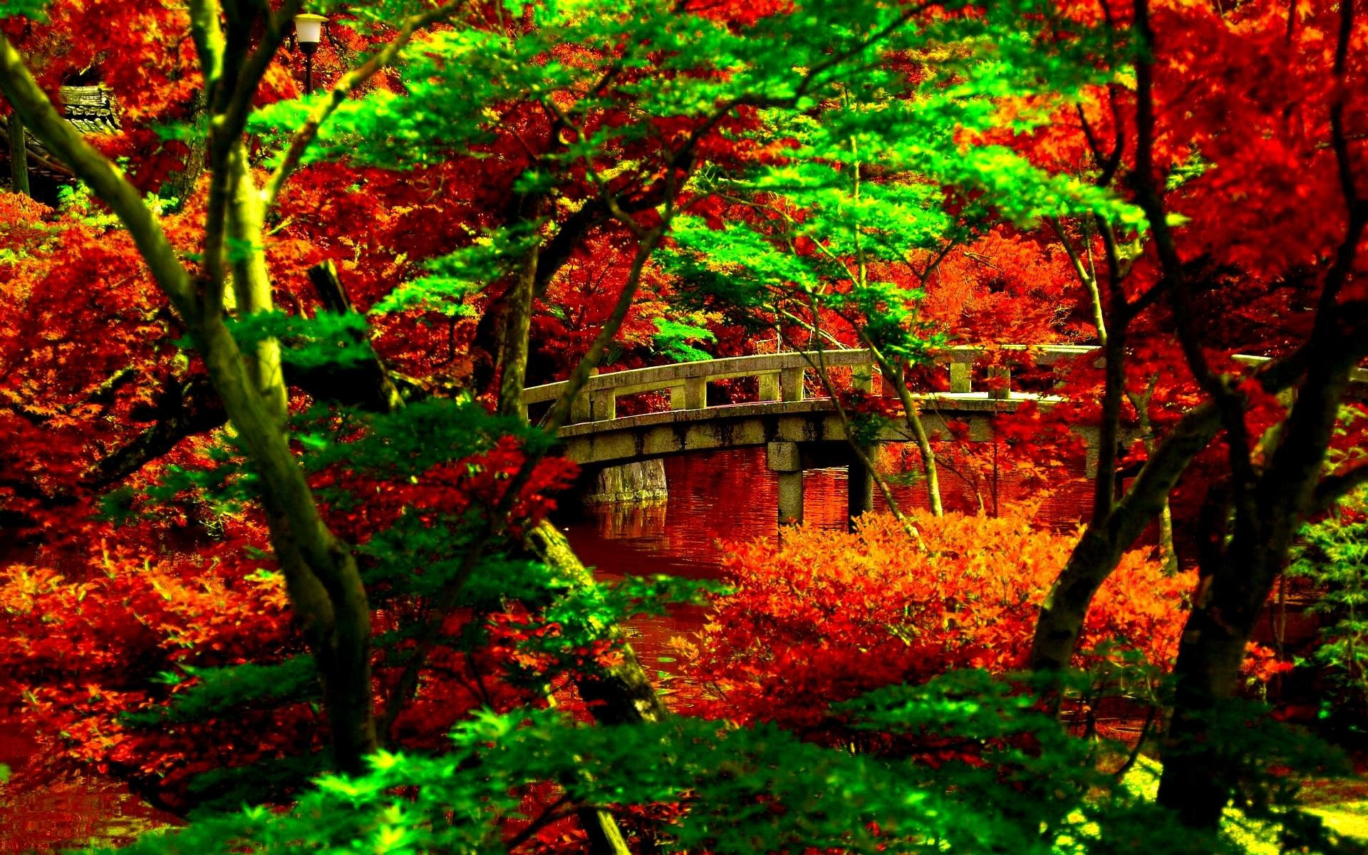 Japanese Garden HD Wallpaper (57+ images)