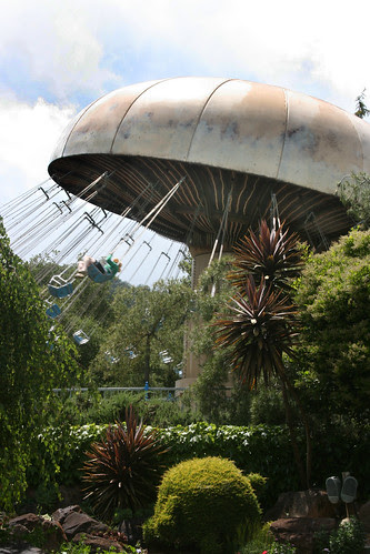 mushroom swing