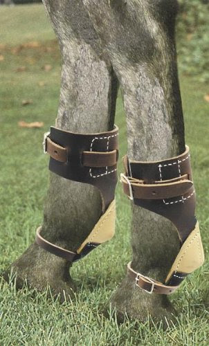 Billy Cook Saddlery Leather Skid Boots - Horse