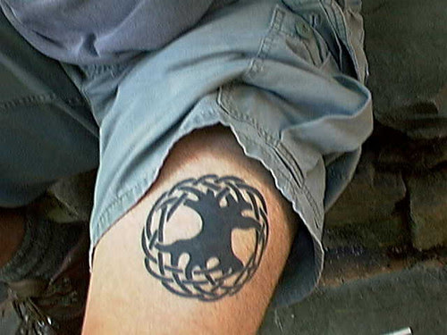 Celtic Tree of Life tattoo