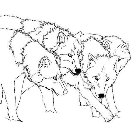 kleurplaat wolf  gratis kleurplaten printen  opslaan