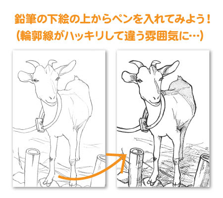 ペン入れでアレンジ 描き方講座 初心者でも簡単 水彩画ぬり絵通販