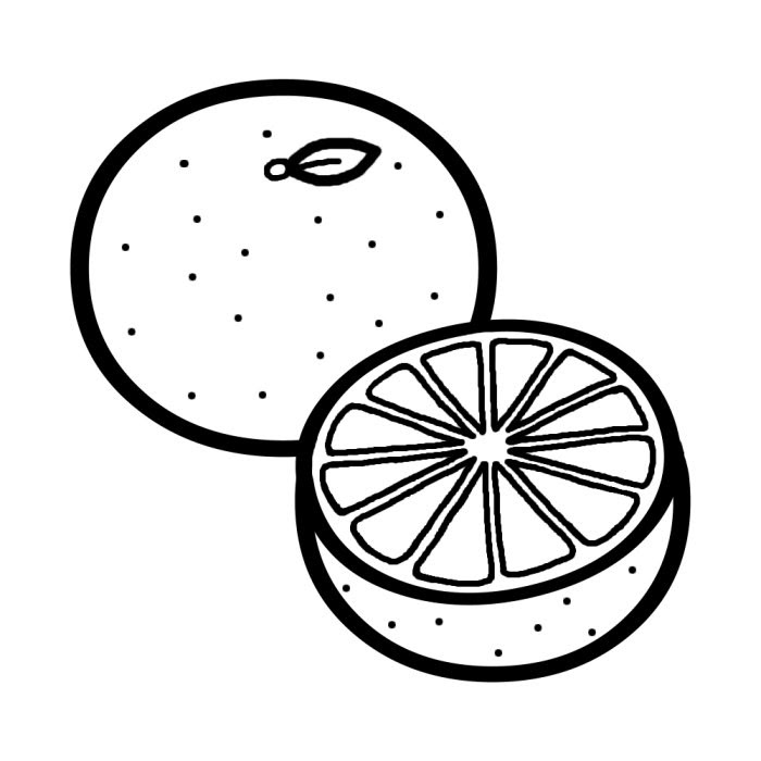 50 みかん イラスト 白黒