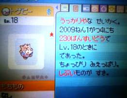 ポケトレ探索記 ひよこ