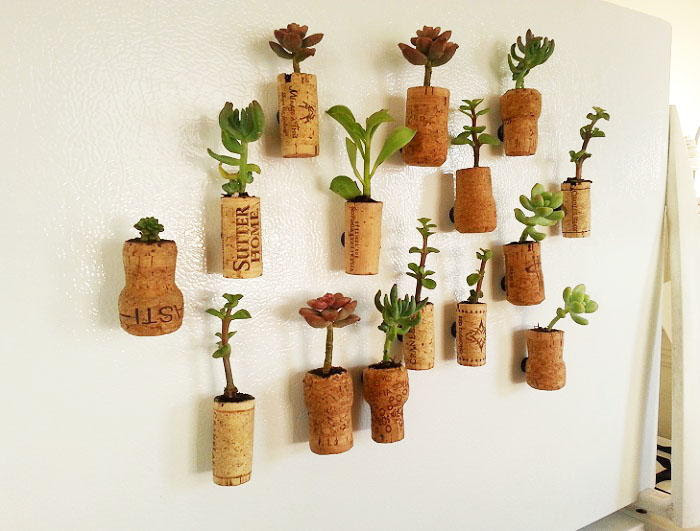 Succulent Wine Cork Planter Magnets Favecrafts Com